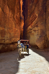 Петра, Сик каньён / A horse carriage in a gorge, Siq canyon in Petra, Jordan