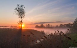 Утро. / Рассвет. 27 Мая.