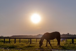 Вечер уходящей весны / где-то в Тверской области