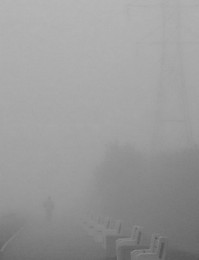 fog / туман