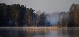 Рассвет у протоки / Карельский перешеек. Вуокса. Май