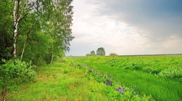 настало лето / начало июня, немного облачно, за деревней