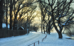 Графика зимнего утра... / Краснодар, парк Солнечный остров, январь. Справа парит на морозе озеро Старая Кубань..