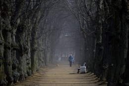 Весенний променад.... / Петергоф. Красный пруд