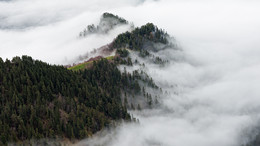 Лес весь окутан туманом... пелена... / Погода в горах меняется .