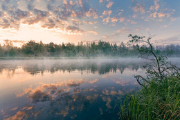 Утрений туман / Река Пра, Рязанская область, рассвет.