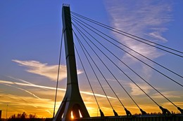 Пятничная цветотерапия / Мост им. Ахмата Кадырова в Петербурге