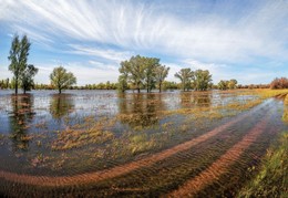 Как дороги заливало / Половодье реки Ахтуба.