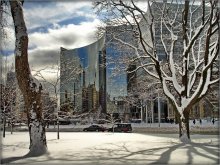снег! - город совсем ослеп.. / Toronto, University St.