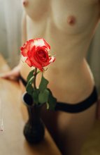 Роза / *****