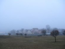 туманное / ежики в тумане