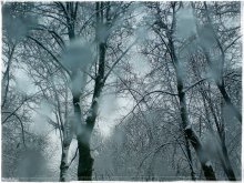 *winter plyam / зима та самая прошла оставив след лишь на стекле воспоминаний
