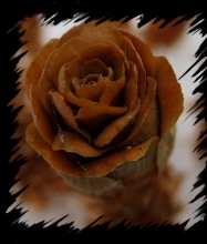 Чудо-цветик / Что за цветы такие. Ваши варианты-...