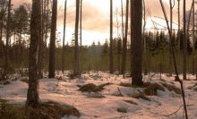 Бархатный сезон-2. / Тёплые лучи падают на снег и преломляются.