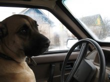 'эх прокачу! / Инструктор