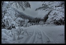 зима в  Карпатах / почти сказка...