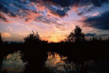 Закат солнца... / Белоруские болоты
