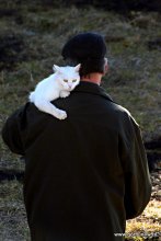 Хозяин, ты у меня один! / Эх, дядя Фёдор... Было время - и я полосатым был...