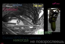 Eat me! / &quot;Съешь, и ты никогда не станешь взрослым!&quot;