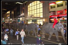 Слоники в Нью Йорке / Слоники в Нью Йорке идут в цирк.