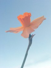 одиноко стоящий / съемка на фоне синего листа бумаги, с помощью рассеивателя