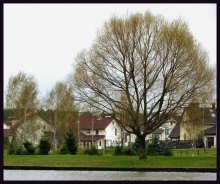 Они такие разные ,но всё равно они вместе... / ...это я о красоте природы и рукотворной красоте.