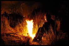 Лесной человечек... / Она обернулась в мою сторону и на миг ине показалось что в ее глазах загорелся огонек ....Она улыбнулась