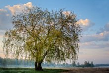 &nbsp; / ***********