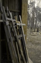 ждут... / ***