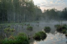 &nbsp; / ***********