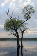 В разливе 3 / Берег Селявы