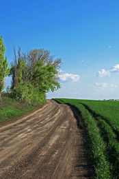 Эх, путь дорожка / дорога вполях