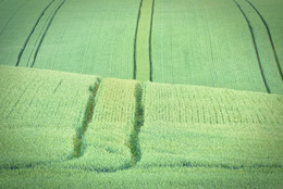 Эх, путь дорожка / Поля с дорожками вблизи отеля Царьград Спас Тешилово., г. Пущино, Московской области.