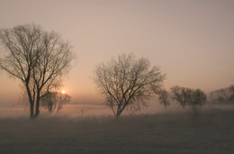 Апрель / Ореховое озеро, Рязанская область.