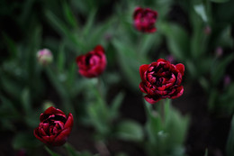 &nbsp; / Больше фото по ссылке: http://steklo-foto.ru/photogellary