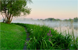 утро, 04:57 / ***