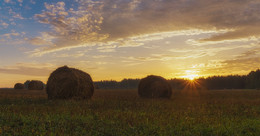 После сенокоса / Фотография сделана по дороге Гродно-Брест. 2015г.