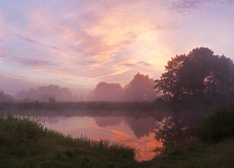 Утро в розовых тонах / Природа Беларуси (Неман, верховье)