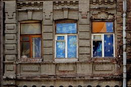 Красота спасет мир / окна