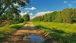 дорога в лес / после дождя, вечереет, недалеко деревня