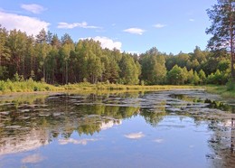 В воде плывут барашки-облака / Зеркальный мир - как мир чудес...
Вокруг меня - волшебный лес!
И сказка - новая строка,
Рожденного, в лесу, стиха.
Как отражение души –
В воде плывут барашки-облака.