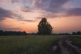 Вечерний свет. / ***