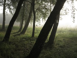 Утро летнее / Август, росы с туманами пришли...
