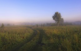 Колыбельная тумана. / ***