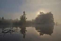 Живёт повсюду красота / Россия. Тульская область. Ясногорский район. Большие Байдики.