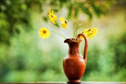 Июльский полдень / Желтые цветы в глиняном кувшине