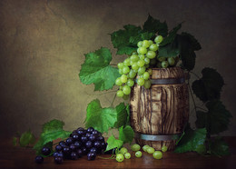Сезон винограда / классический натюрморт