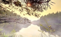 Все как в тумане / Тепло, парит после дождя, туман накрыл всё озеро, однако вечернее солнце пробилось сквозь пелену его завесы.