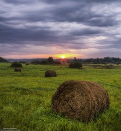 В поле. / Утро. 
20 Августа.