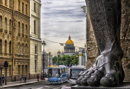 Питер / Снимал в г. С-Петербург